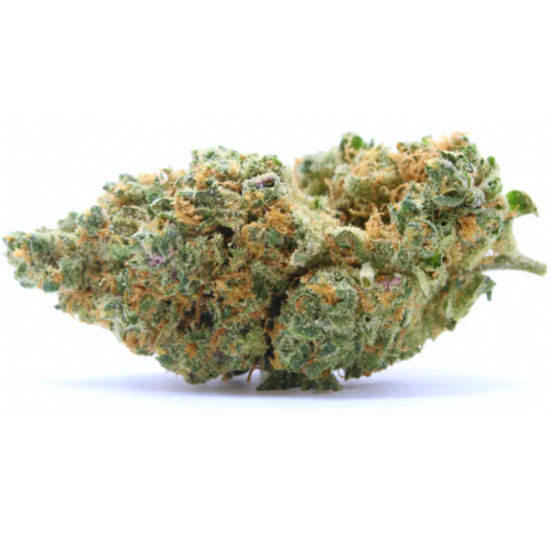 Pack AK-OG (Amsterdam Genetics) 20G - OFFRE LIMITÉ - Stormrock