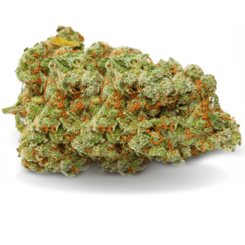 Pack Girl Scoot Cookies 20G - OFFRE LIMITÉ - Stormrock