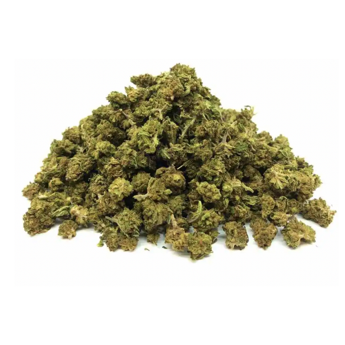 OFERTA - Mini-Bud Greenhouse - 15G
