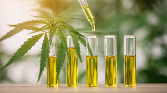 Diferencias entre espectro completo y espectro amplio