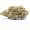 OFERTA - Lemon Haze - 10G