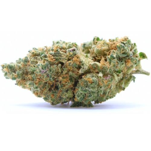 Pack AK-OG (Amsterdam Genetics) 20G  -  OFFRE LIMITÉ - Stormrock