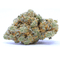 OFERTA - Blueberry Diesel