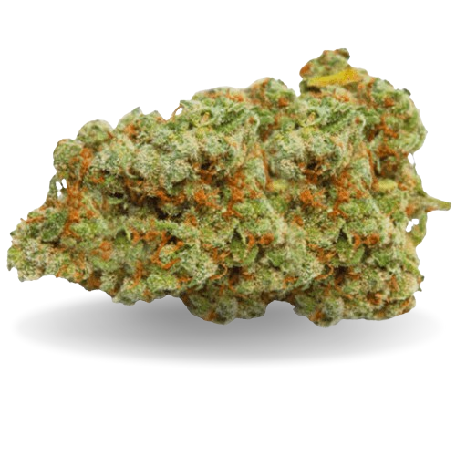 Girl Scoot Cookies - Stormrock