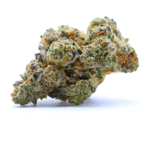 Tropical Kush - Stormrock