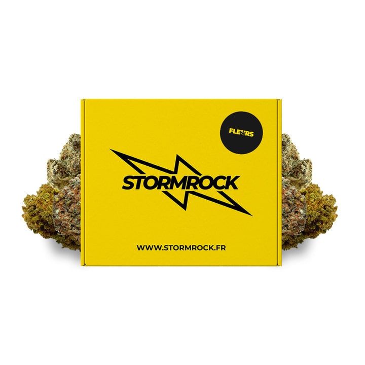 PACK DÉCOUVERTE - FLEURS INDOOR - Stormrock